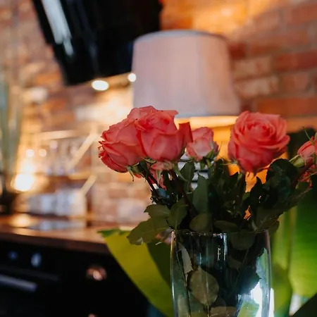 Appartamento Zamkowe Centrum *