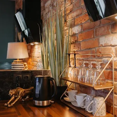 Zamkowe Centrum アパート クフィジン