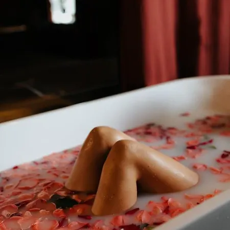 Zamkowe Centrum アパート