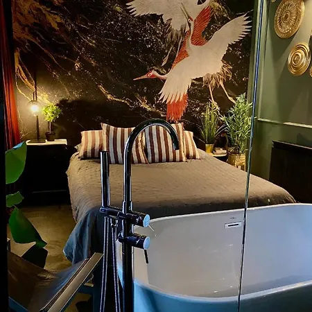 Zamkowe Centrum アパート クフィジン